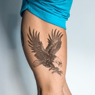 Diving Eagle