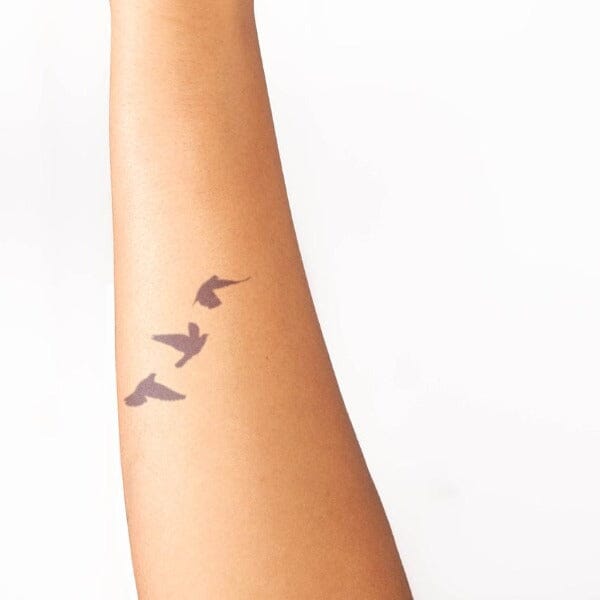seagull bird tattoos