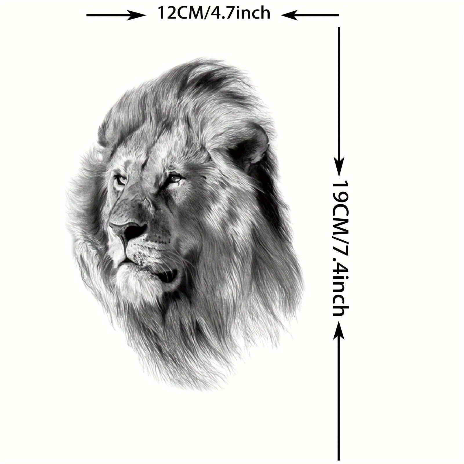 image4