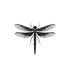 Dragonfly Queen Temporary Tattoos Momentary Ink 