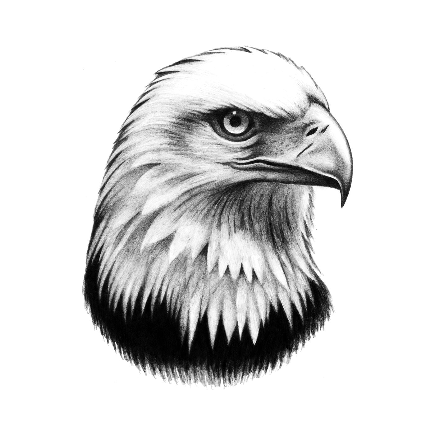 Bald Eagle Head Temporary Tattoo Momentary Ink