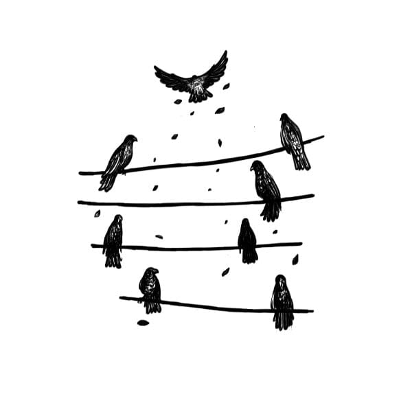 Birds on a Wire scART Temporary Tattoo Momentary Ink