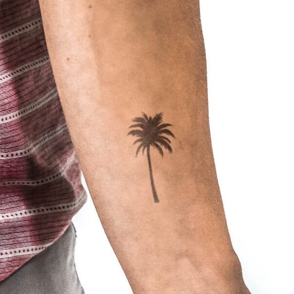 Black Palm Tree Semi-Permanent 2.0 Momentary Ink