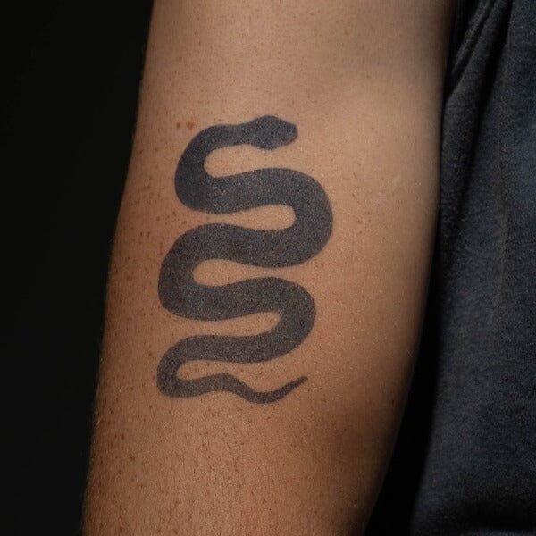 Black Snake Semi-Permanent 2.0 Momentary Ink