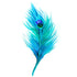 Blue Peacock Feather Temporary Tattoo Momentary Ink