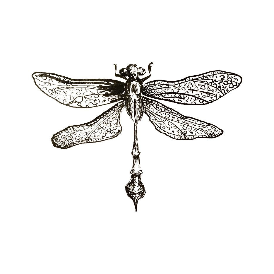 Dragonfly Temporary Tattoo Momentary Ink