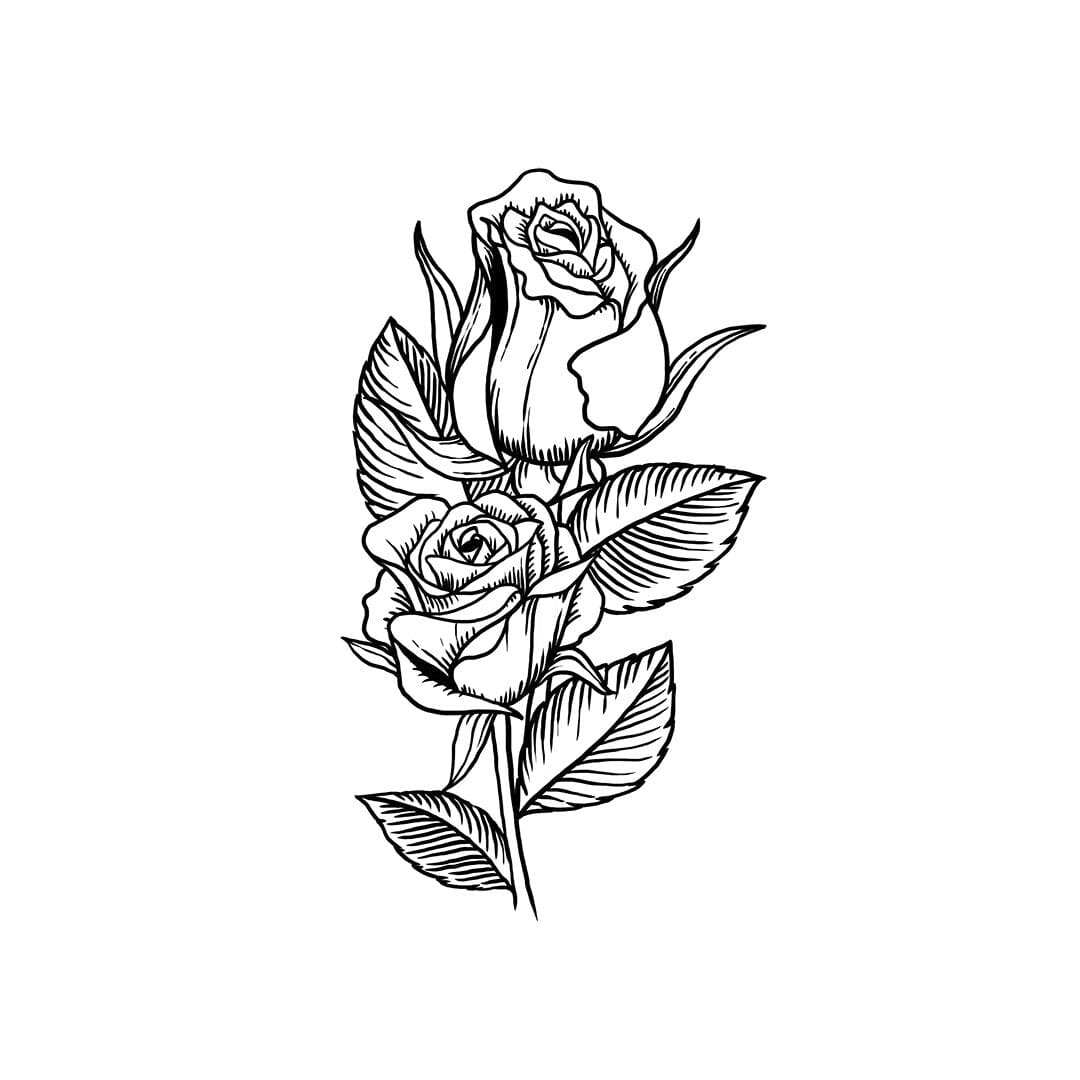 Duo of Roses Temporary Tattoo Momentary Ink