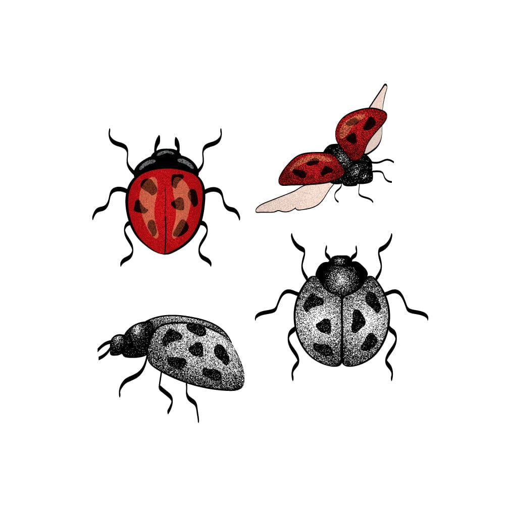Ladybug Pack Temporary Tattoos Momentary Ink 
