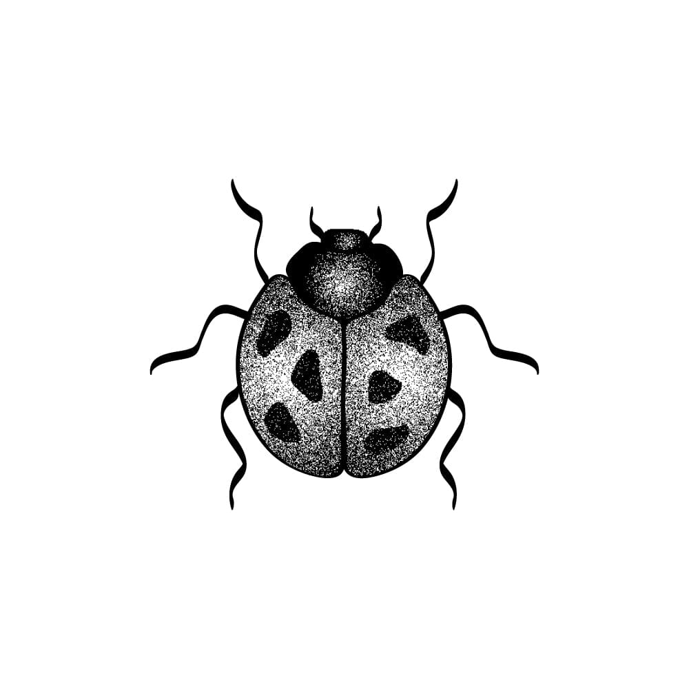 Ladybug Temporary Tattoos Momentary Ink 