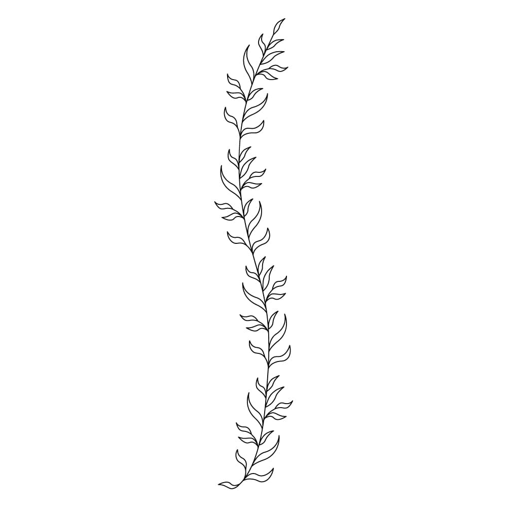 Simple flower tattoo, outline plants. Wild... - Stock Illustration  [99354759] - PIXTA