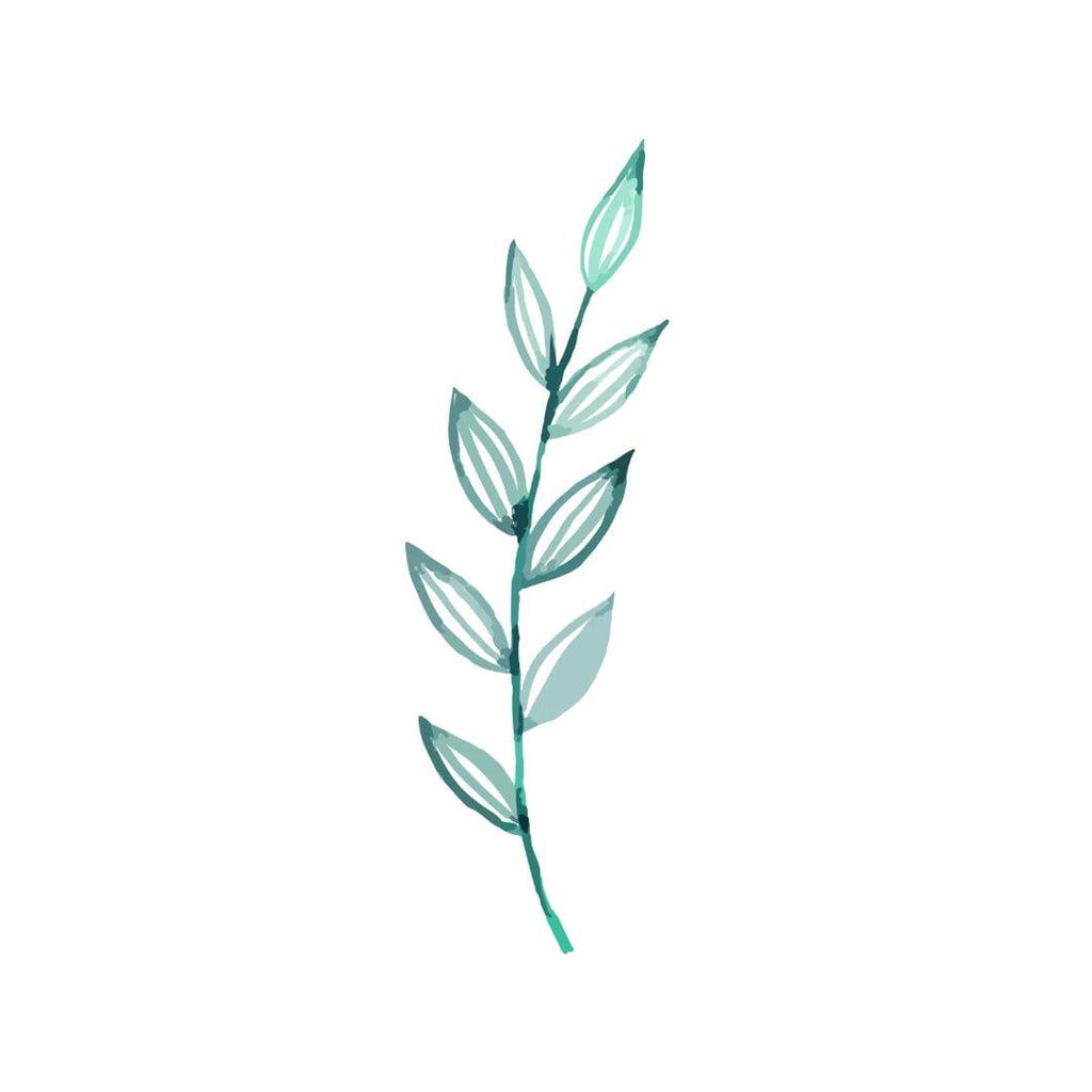 Olive Branch - Olive Branch Temporary Tattoos