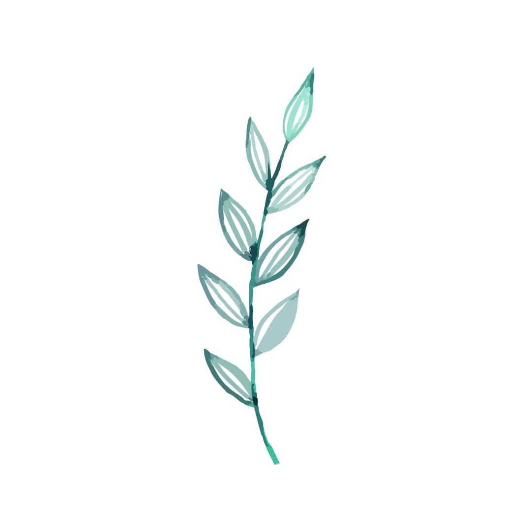 Olive Branch Temporary Tattoo Momentary Ink
