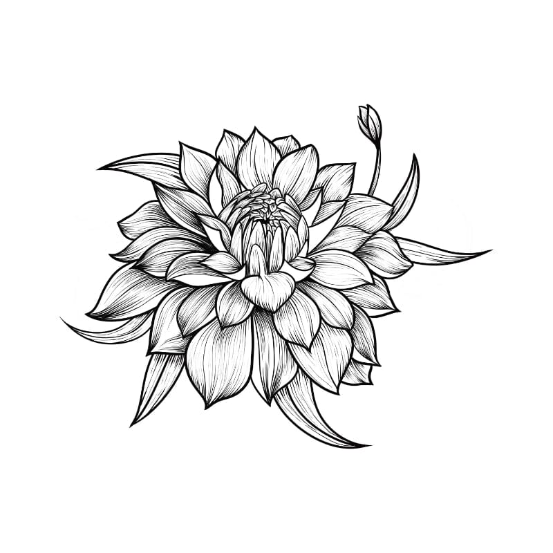 Sacred Lotus Temporary Tattoo Momentary Ink