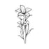 Tiger Lily Temporary Tattoo Momentary Ink